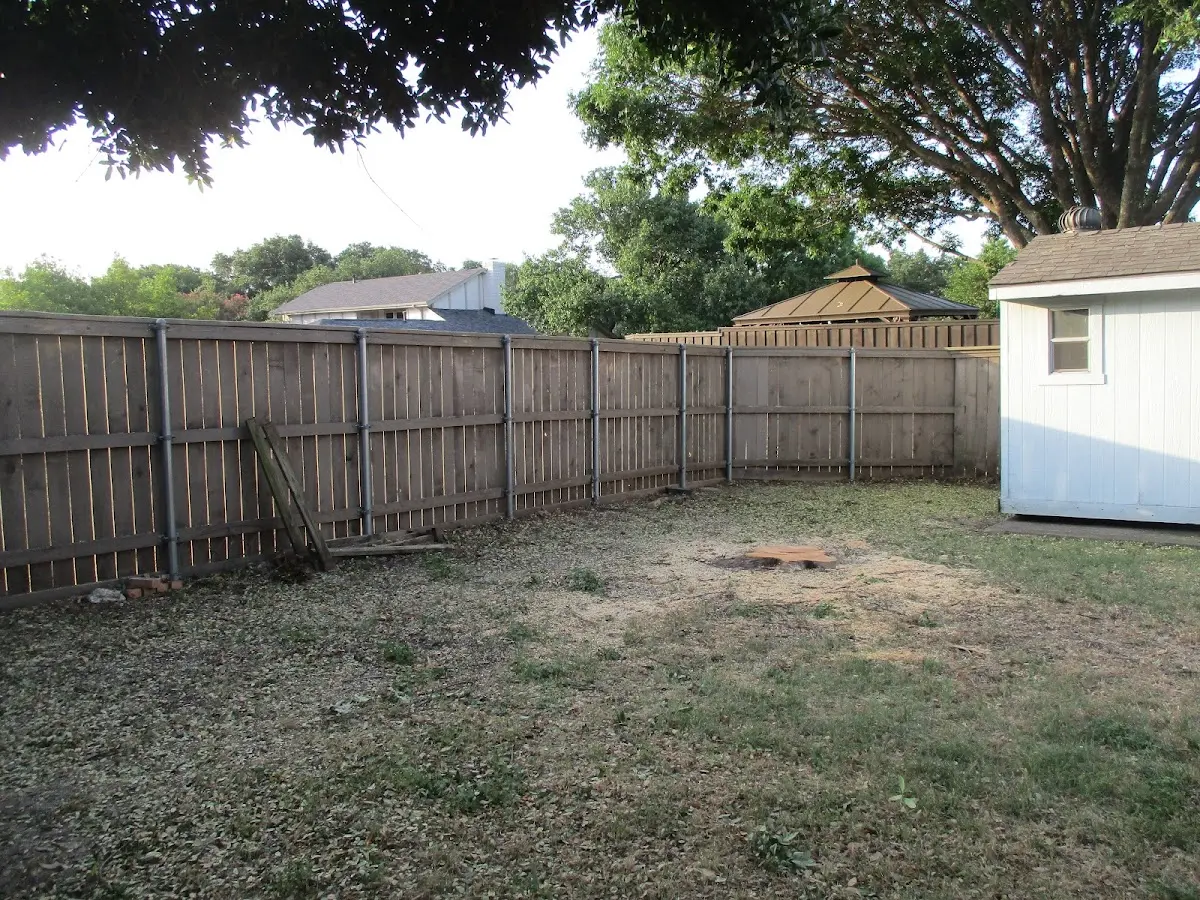 Cleared yard after professional tree removal in Salix