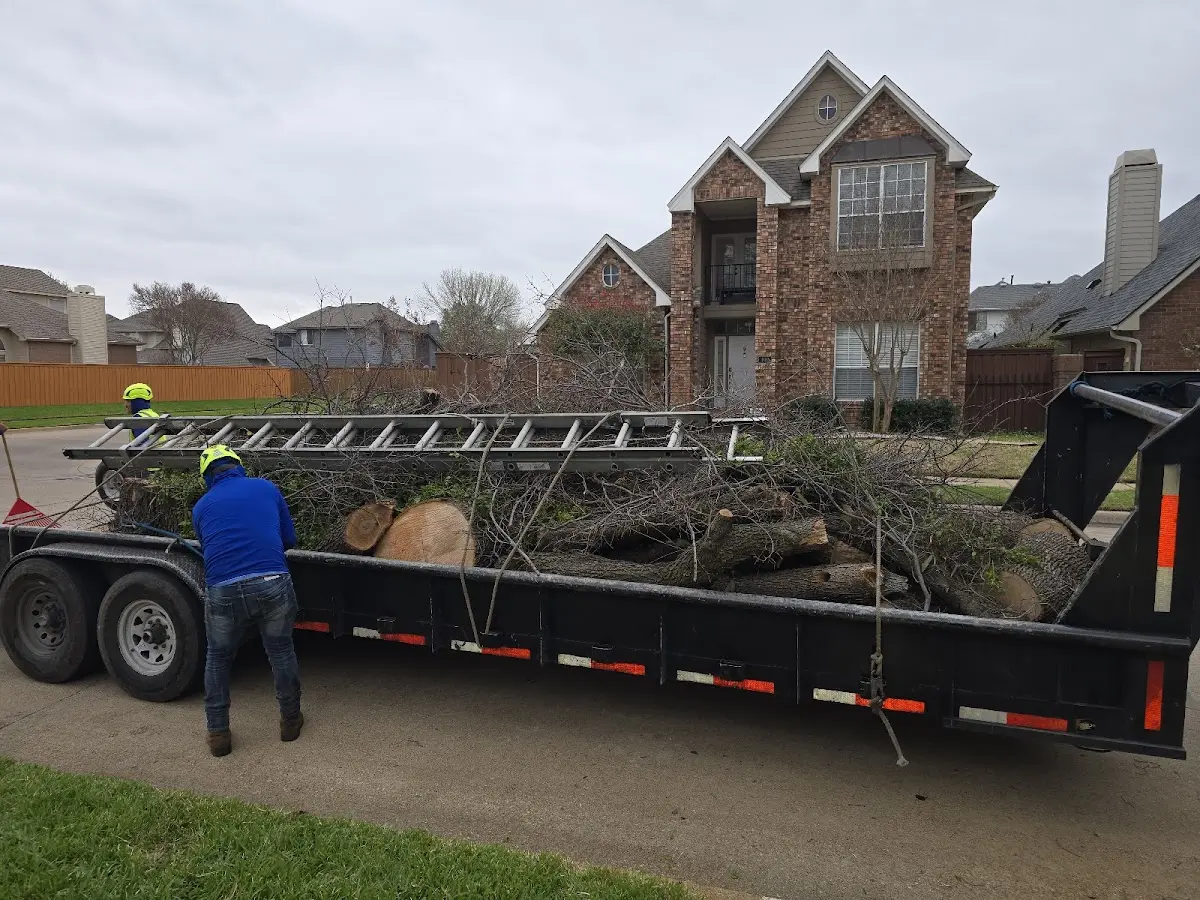 Expert Lot Clearing with proper safety equipment in Salix